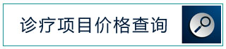 诊疗项目价格查询